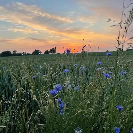 Salzhaff In בית נופש *