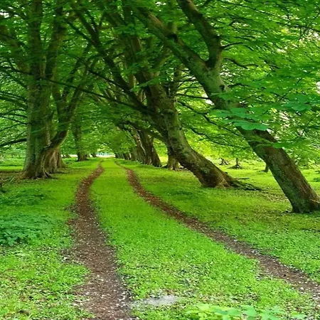 Salzhaff In Feriehus Pepelow