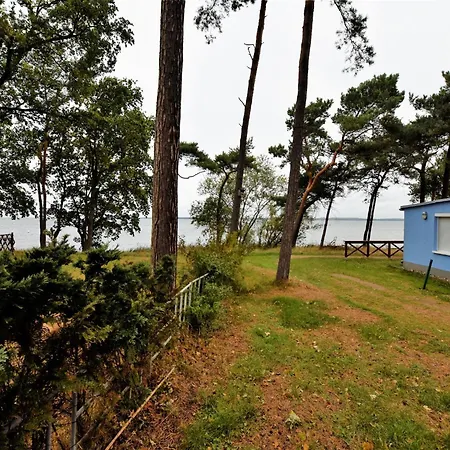 Salzhaff In * Pepelow