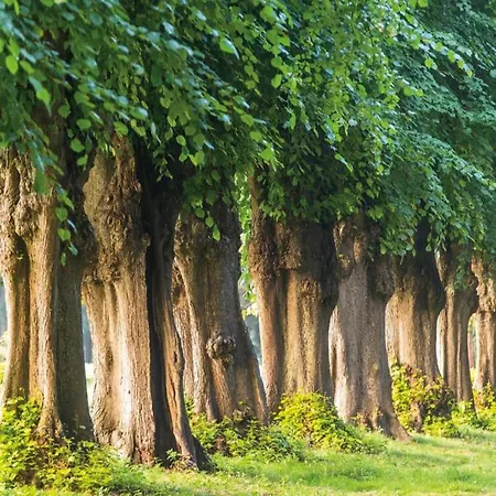 Salzhaff In Сasa de vacaciones Pepelow