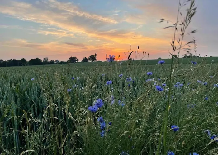 Salzhaff In Feriehus *